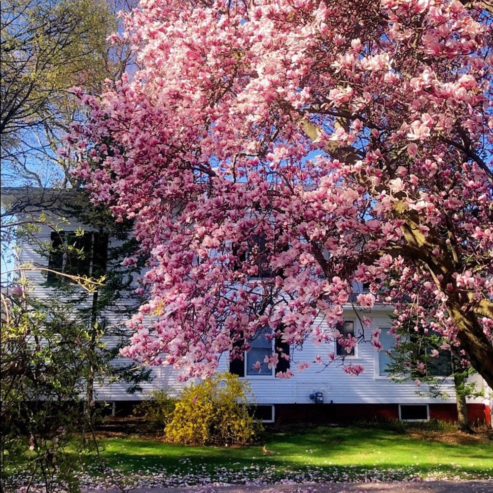 Meet your Posher, Cailey